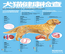 犬猫健康检查